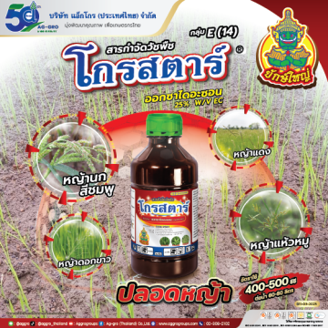 โกรสตาร์